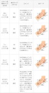 超極浅 浅履き フットカバー