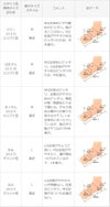 超極浅 浅履き フットカバー